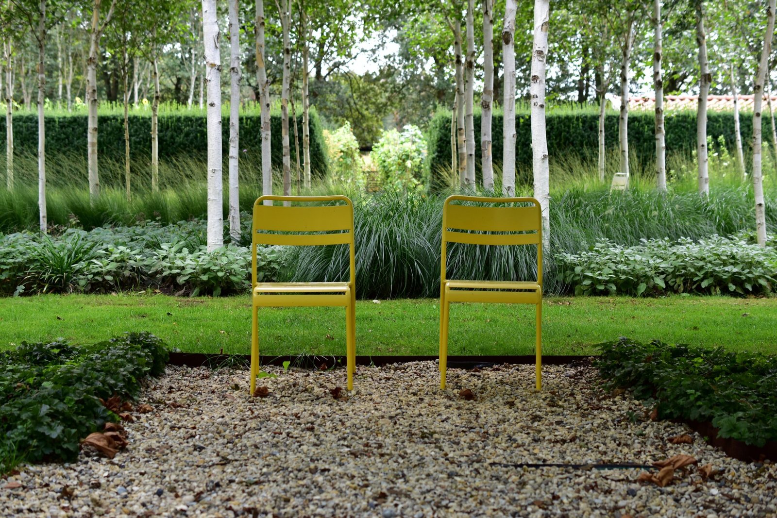 two yellow chairs in a garden